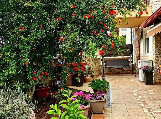 Purple_rose_apartment